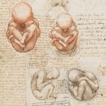 IA: Revolución en el Desarrollo de Software