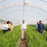 Agricultura sostenible: clave para el futuro