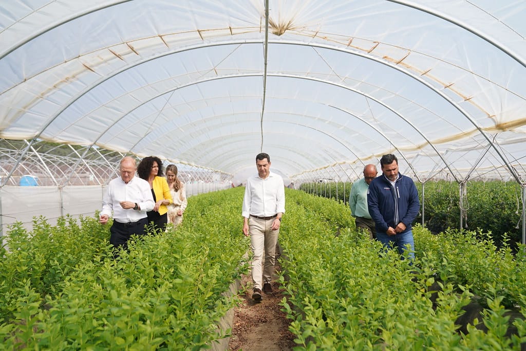 Agricultura sostenible: clave para el futuro